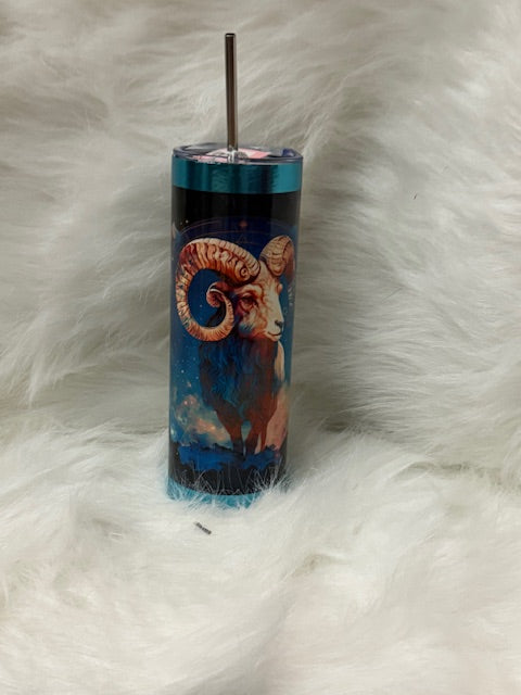 Aries Zodiac Tumbler