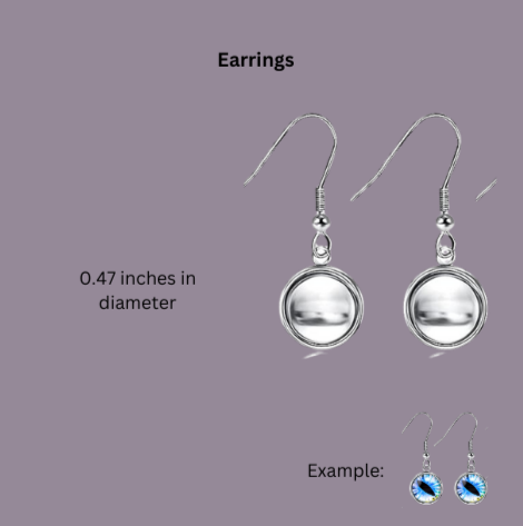 Custom Stainless Steel Earrings